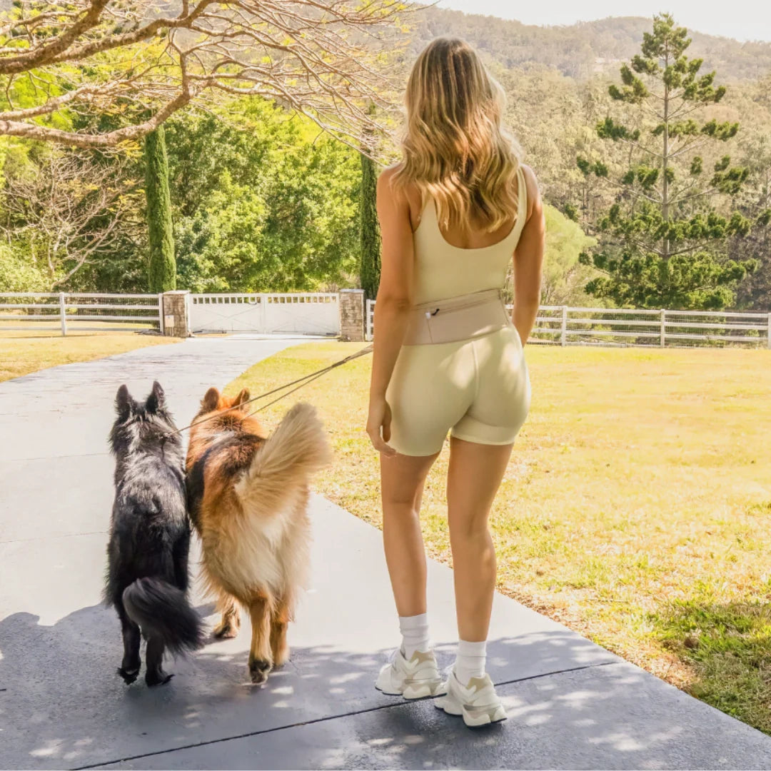 Hands-Free Dog Harness