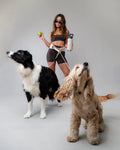 Hands-Free Dog Harness
